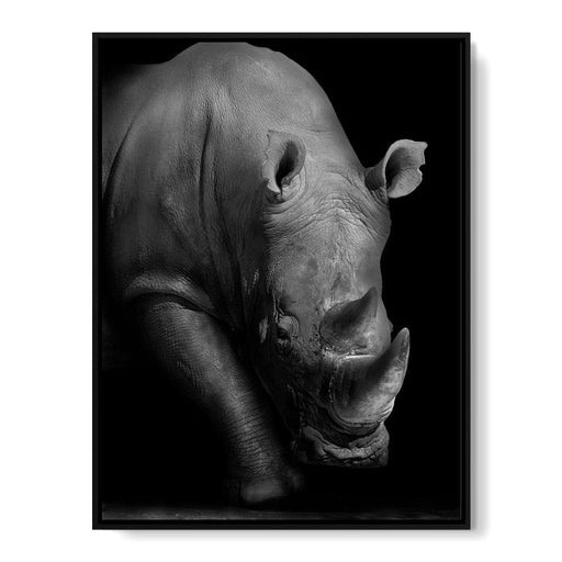 Black and White Rhino Canvas Print