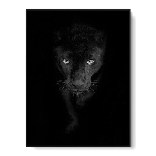 Black and White Panther Canvas Print