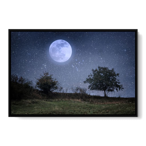 Beautiful Moonlight Canvas Print