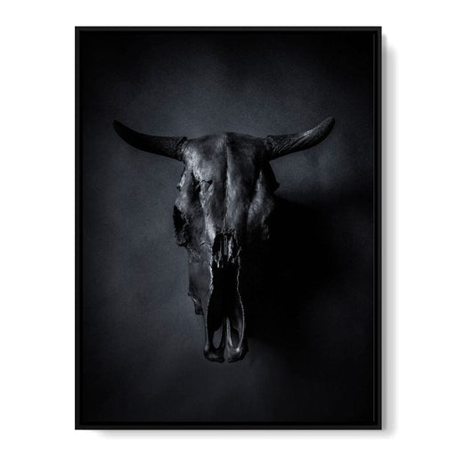 Black Bull Skull Canvas Print