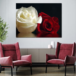 Red & White Roses Reflection